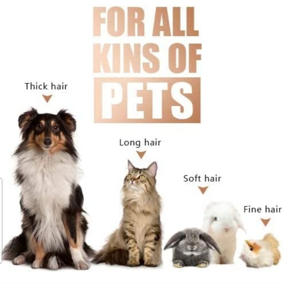 Dog & cat Clippers Shaver 12V High Power Dog Grooming Clippers for Thick Coats - Picture 4 of 11